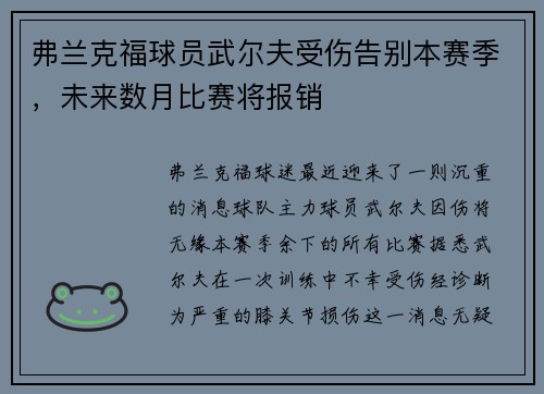 弗兰克福球员武尔夫受伤告别本赛季，未来数月比赛将报销