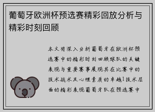 葡萄牙欧洲杯预选赛精彩回放分析与精彩时刻回顾