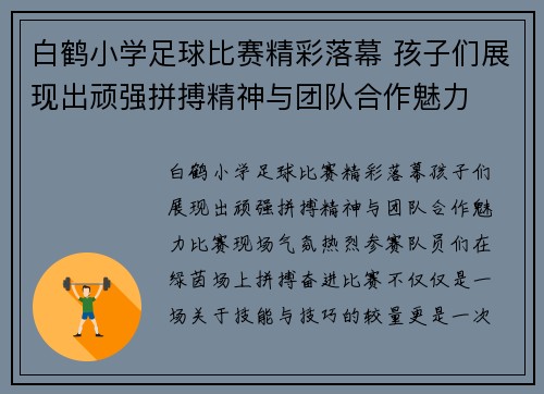 白鹤小学足球比赛精彩落幕 孩子们展现出顽强拼搏精神与团队合作魅力