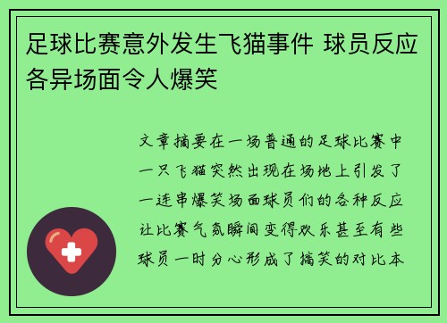 足球比赛意外发生飞猫事件 球员反应各异场面令人爆笑