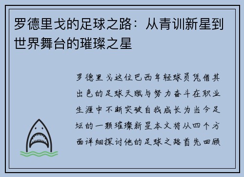 罗德里戈的足球之路:从青训新星到世界舞台的璀璨之星