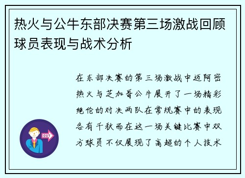 热火与公牛东部决赛第三场激战回顾球员表现与战术分析