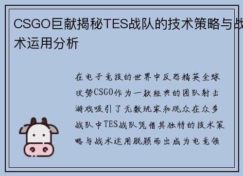 CSGO巨献揭秘TES战队的技术策略与战术运用分析