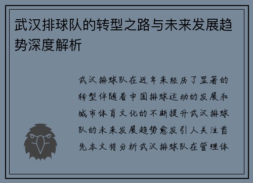 武汉排球队的转型之路与未来发展趋势深度解析