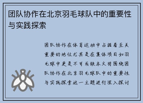 团队协作在北京羽毛球队中的重要性与实践探索
